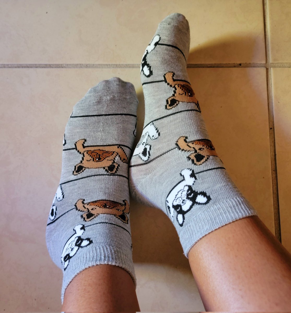 StepOnMe678's tweet photo. I had my kitty🐱 socks on yesterday so today I put my little bulldogs. Are there any dog lovers out there?🐶
#sock #Feet #feetworshi̇p #sockoftheday #AllThingsWorn https://t.co/zlQYn0iZr1