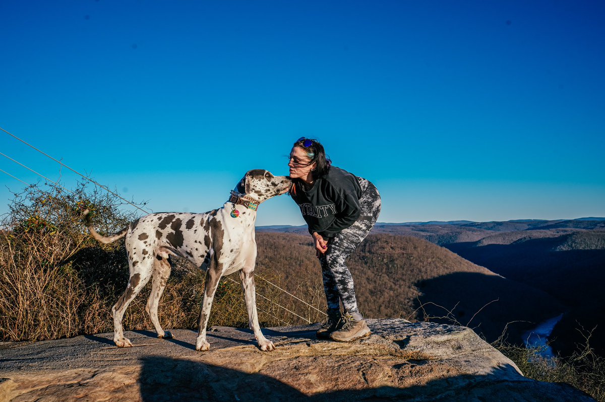 Happy Sunday! I can’t believe that this guy will be 3 on Tuesday?! Why does time go by so quickly?! #dogsoftwitter #DogCommunity #dogmom