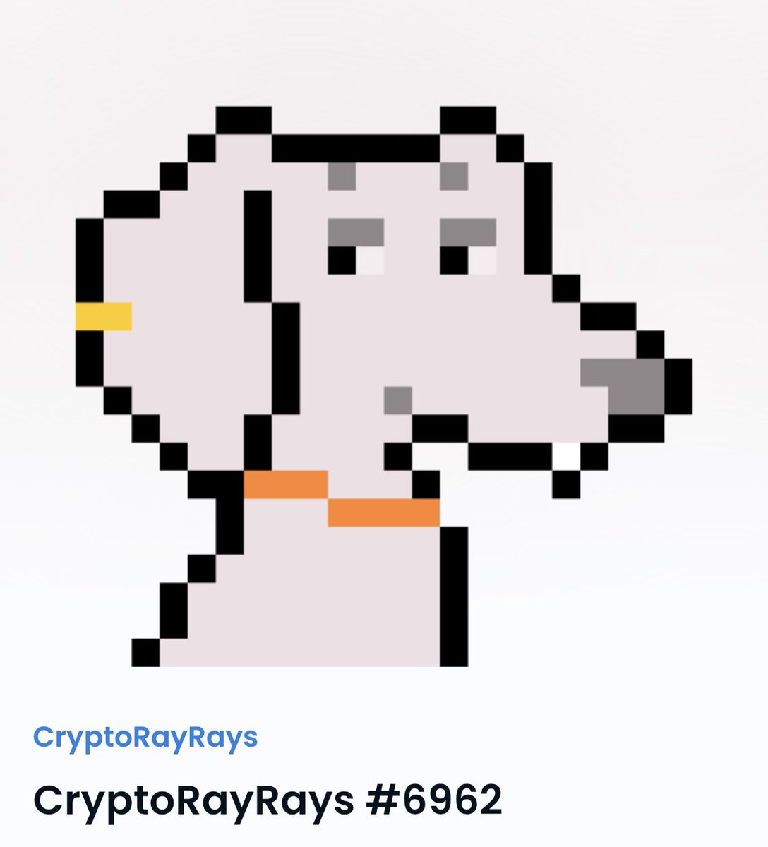 theMikeElf's tweet photo. Decided to jump into the @cryptorayrays #rayrays #woof @VinnieHager @metapeeps https://t.co/2jB3Nf9QzD