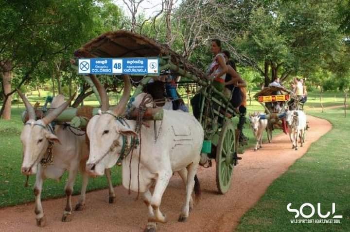 RameshRameshp3's tweet photo. https://t.co/SIa9qNWCUX