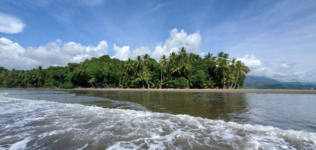 Coco Puff tweet media