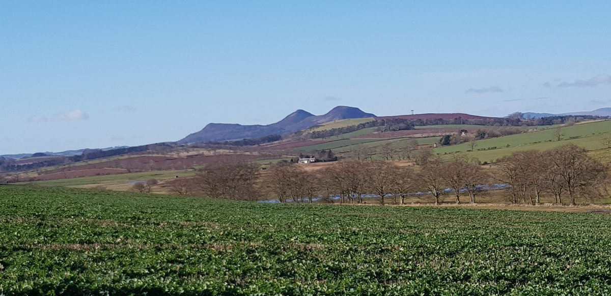 EildonRamblers's tweet photo. Really have to #usethesunshine. A rural walk, led by Michelle passing #Smailholm Tower, around fields, through woodland, along a short stretch of B road towards @Mellerstain House. Magnificent views of #Jedburgh, #Eildons, &amp; #Lammermuirs. 
pics. Carol
@ramblersscot @RamblersGB https://t.co/CTNXYKdqOx