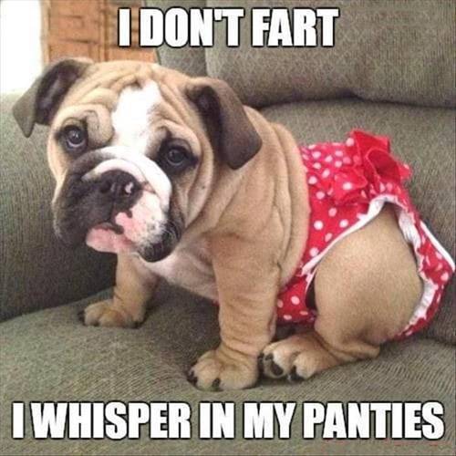 dileo_karen's tweet photo. @mates_pospa12 @Cookiesmeme1 @KDKTargets @KD__Kuffars @Caileen_R_KDKFR @LafaKdk @MoroskyKatie @phoenixzeus3 @daeshhun @onewhokeepsbees https://t.co/02piLCY5Zd