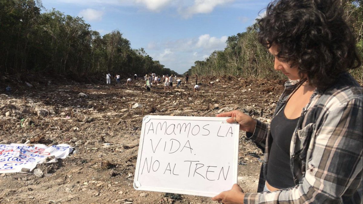 gchristy65's tweet photo. Parémoos esta destrucción.
La selva es un recurso finito y nos la estamos acabando.
Cientos de especies protegidas por la NOM 59 están siendo vulneradas
#NoAlTrenMaya https://t.co/pIJ04XvQlW
