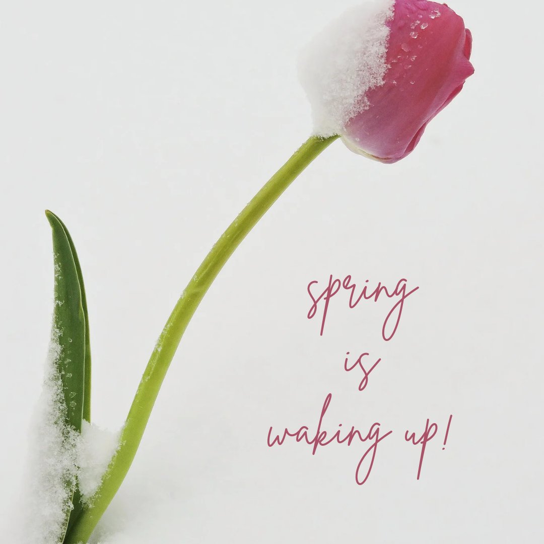 FloristForYou's tweet photo. It might be a cloudy &amp; rainy outside, but at Jacqueline's Flowers &amp; Gifts we are full of the bright colors of early spring!

Come in and check out our new designs or visit us online to see what our designers have created for you!

☎️ 856-354-1115 
🌍 https://t.co/2xaL9bWtUY https://t.co/b5i6rtD7AU