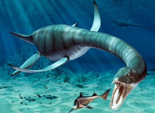 Wee_Plesios's tweet photo. A plesiosaur had no predators that would hunt it.

#NFTGiveaway #NFTCommunity #nftart #NFTCollection #NFTGiveaways #cryptotrading #CryptocurrencyNews #nftcollectors #NFTdrop #nonfungible #erc721 #Etherum #NFTProject https://t.co/3KhQxOw637