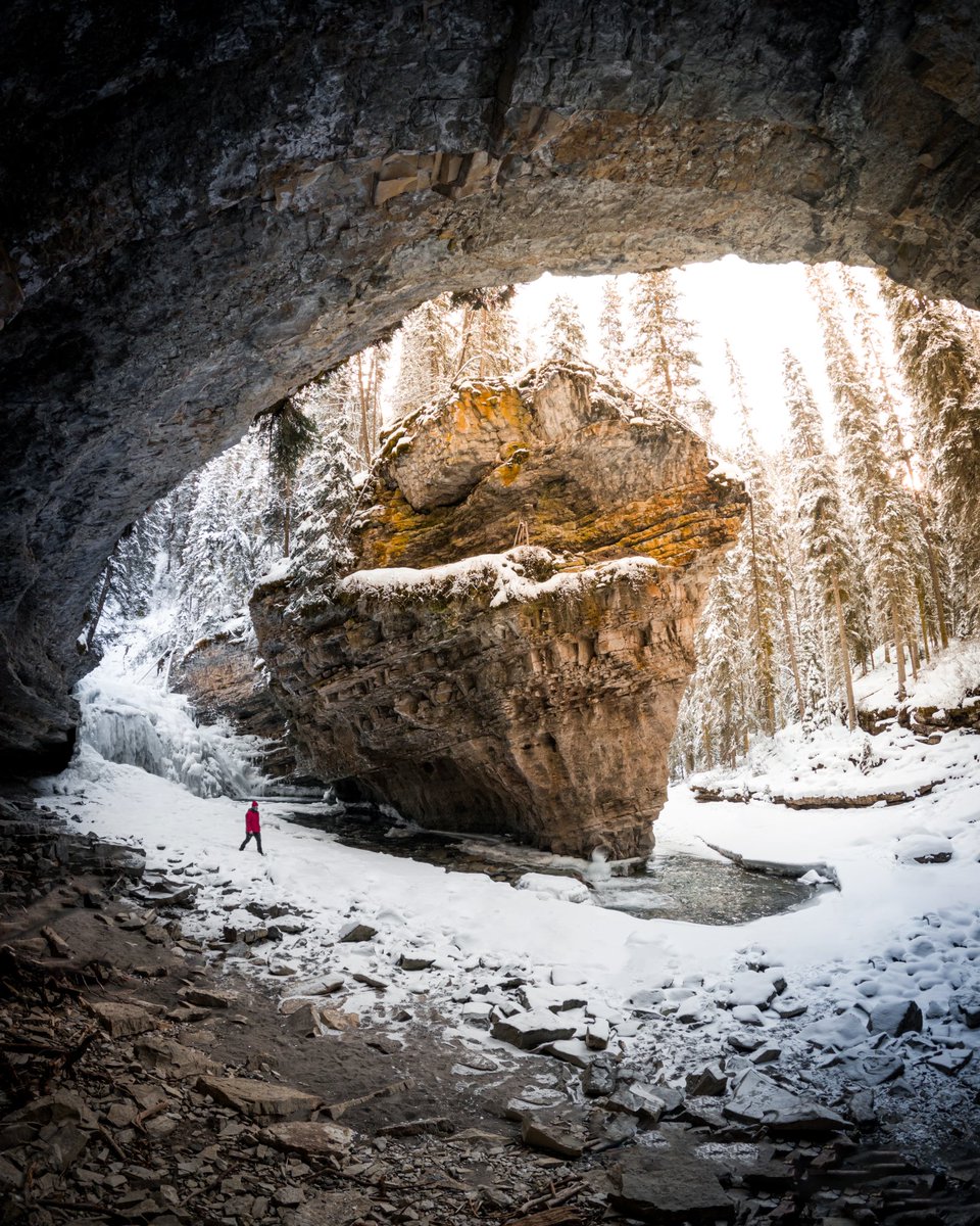 Gm friends, artists, and collectors! 🎨📸🖼