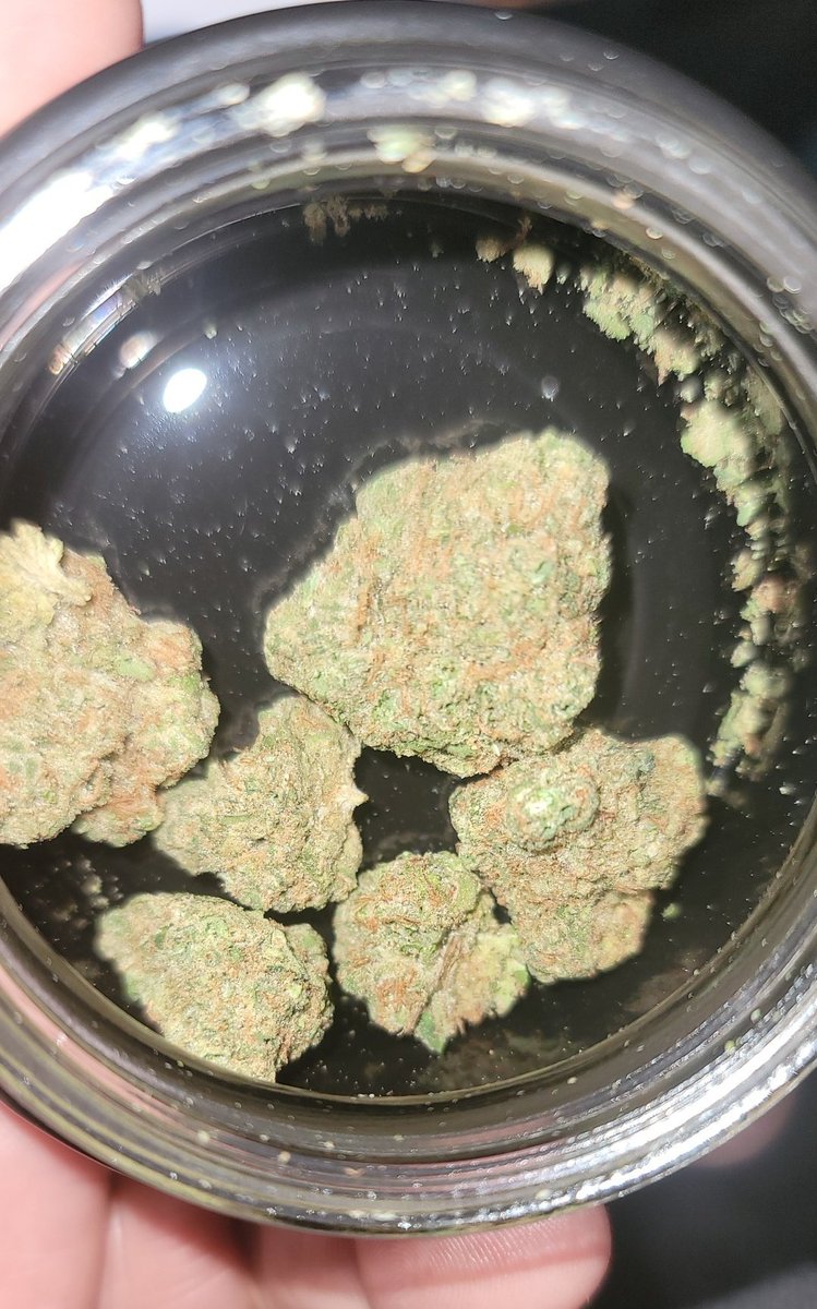 JustStayHighChi's tweet photo. I have a all day 🏐 tournament to go to, so it's the @GTIGrows Durban Zkittlez to finish off the weekend.... #sundayvibes #GoodVibes #WeedLovers #rythm https://t.co/O6nj3iLzV8
