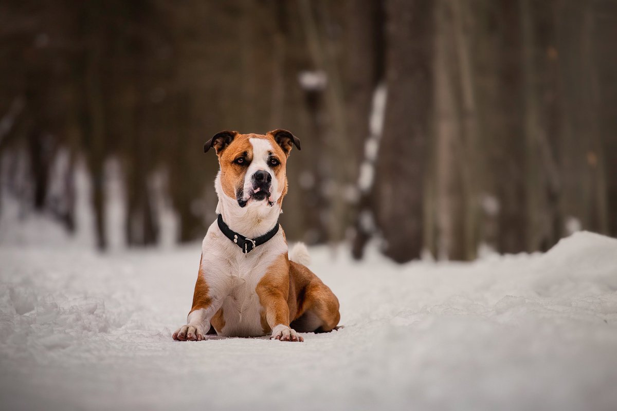 Enjoying this gorgeous day! It's currently 11°C here! What is it where you guys are?