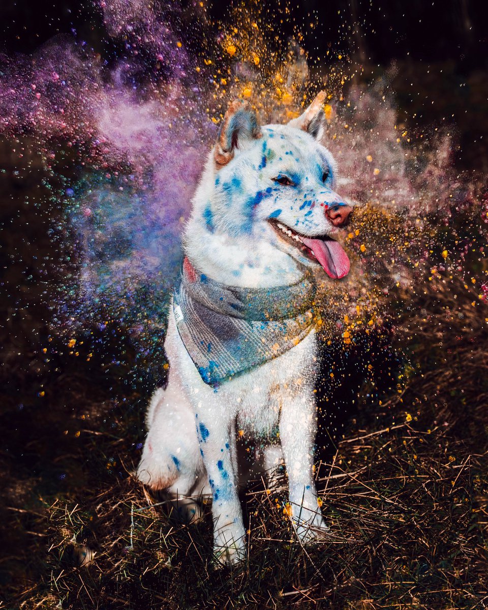 Ryōken Instinct tweet media