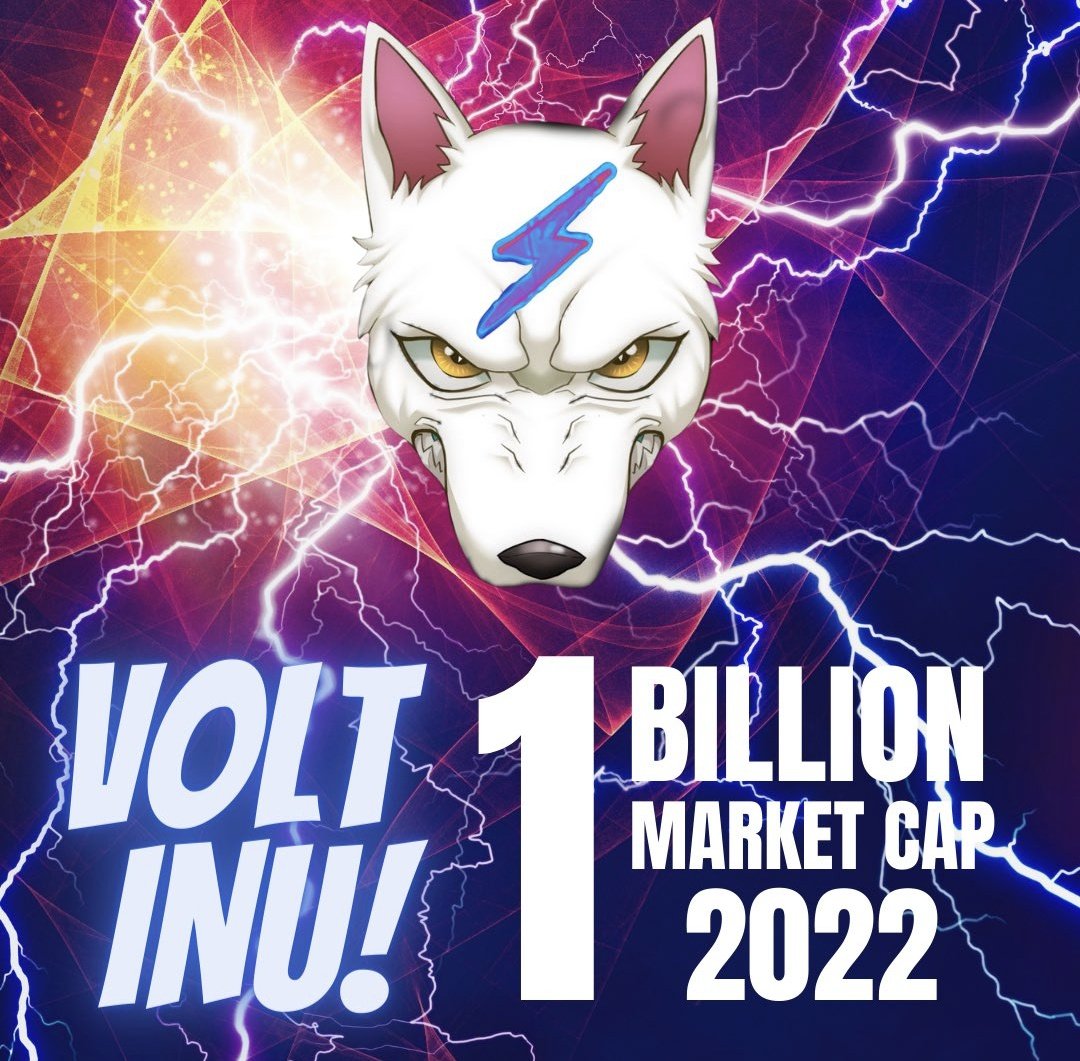 Mehdi08767442's tweet photo. @elonmusk #VOLTINU https://t.co/E0rHeHwic6