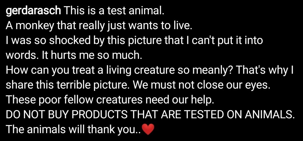 SerraoMarcus's tweet photo. Please don't buy products tested on animals (drano, crest, tide, etc).Time to #BeVegan: https://t.co/KpKJYLIujV
#vegan #vegetarian #meat #animalag #cows #chickens #pigs #fish #beef #steak #veal #burgers #pork #bacon #chicken #dairy #milk #cheese #eggs #lamb #goat #baby #veganuary https://t.co/5p1NHy2dFI