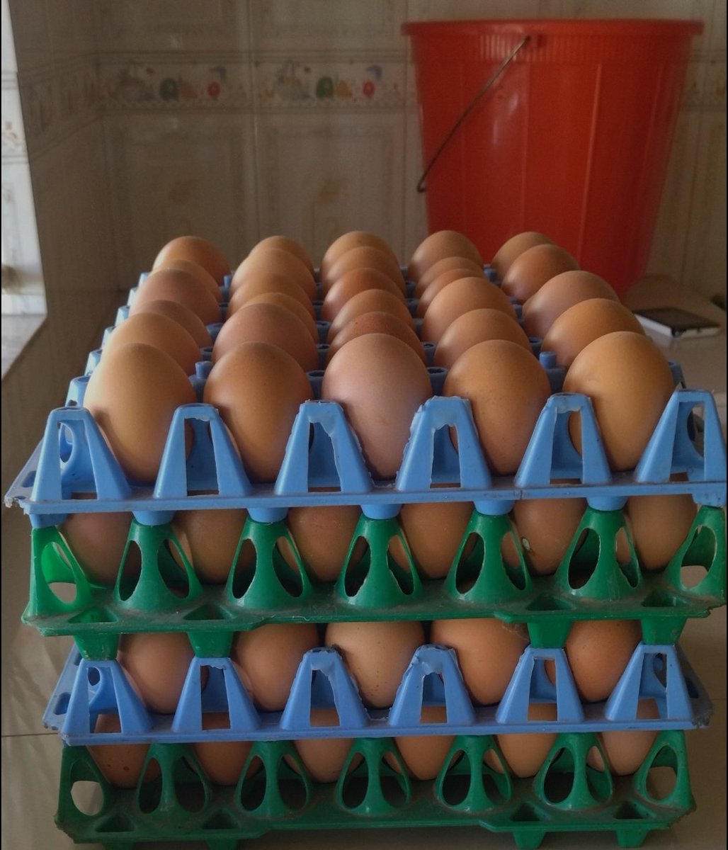 ChildSpace1's tweet photo. 05.03.2022
Thank you very much Apopa Speaks for supporting the feeding program despite the high food prices in Kenya and huge numbers of the Smart Children Club members, we still ensure they get a well balanced diet weekly.
#CommittedtoHolisticChildDevelopment #bewhole https://t.co/pgoOxv9uYY