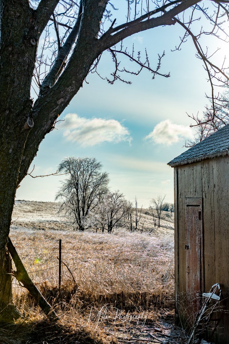 JAllenPhotogra1's tweet photo. An icy end to a wintry-mix kind of weekend.  While it is great for photos it is a bit slick out there!!  #icy #iceicebaby #ruralmnphotography #ruraljacksonmn #ruralmnlife #winterisntoveryet @mark_tarello @NWSSiouxFalls @kare11wx https://t.co/kPkyHPTHus
