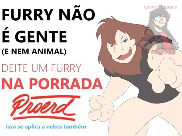 tubarão brasilero tweet media