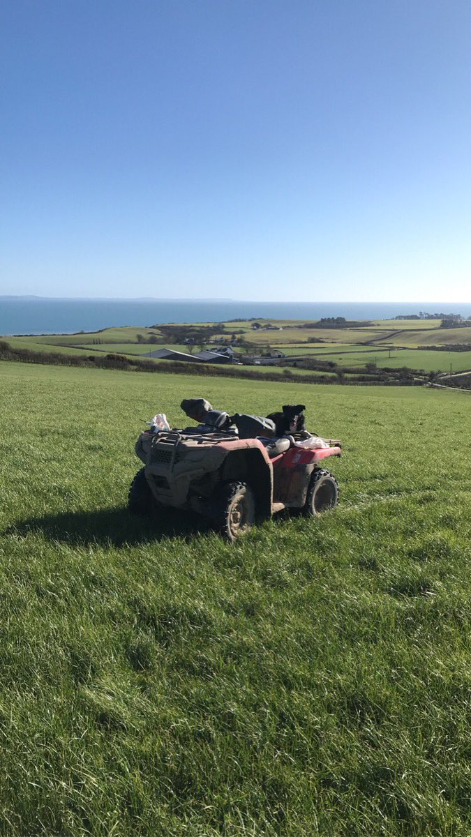 Scott_Service3's tweet photo. Cows + kayak both out for the first time this year today🌱 🥛 🚣‍♀️ https://t.co/PDeRYeMwU7