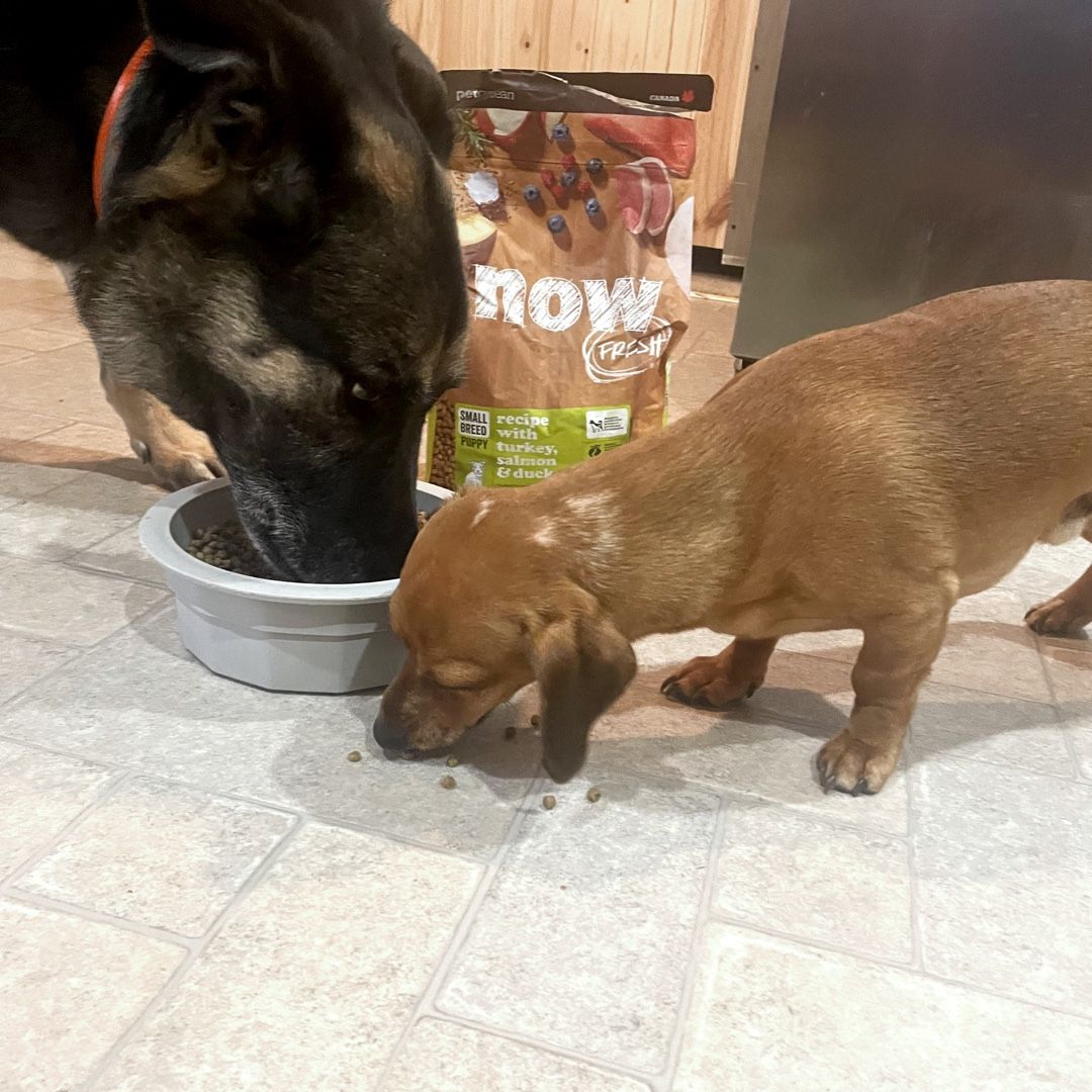 lcrc9413's tweet photo. My babies loved this thank you influenster and now fresh https://t.co/ki6zWxKxQW https://t.co/VkMRrktgp7