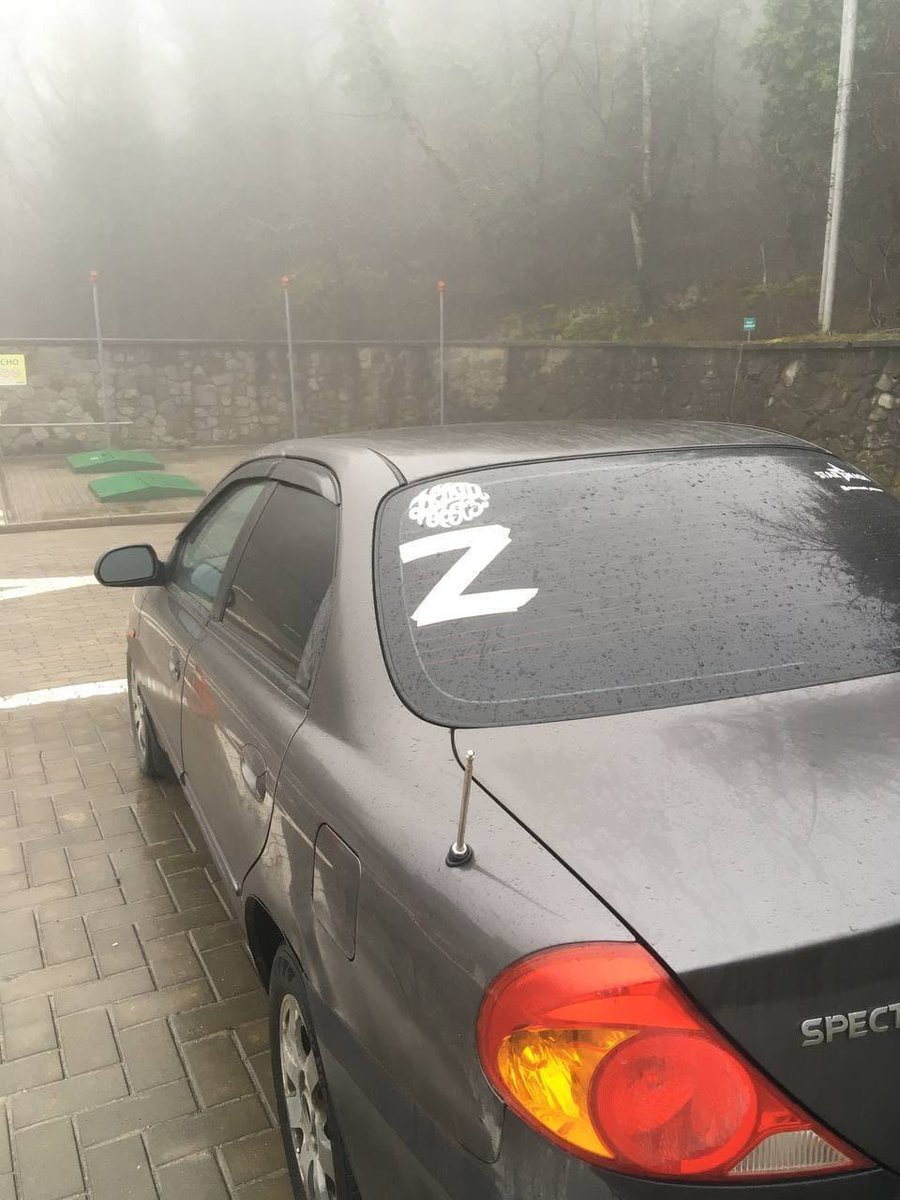 It found a lot of supporters. Many Russians are putting "Z" on their cars - that's totally voluntary and to my best knowledge nobody's forcing them