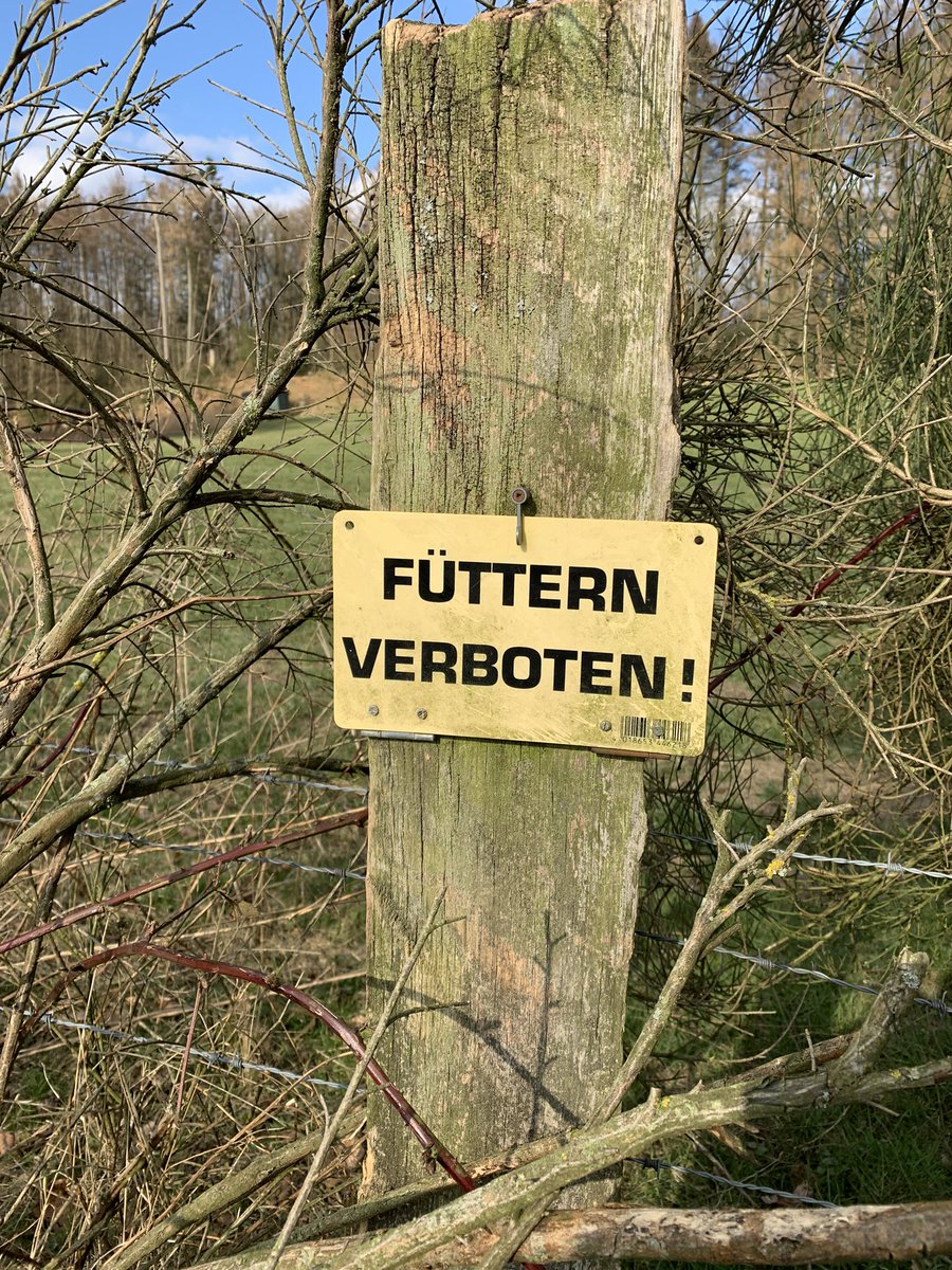 Mbone_204's tweet photo. Heute eine schöne Ablesemulti mit kleinen Aufgaben gemacht. Ein schöner Wald und abwechslungsreiche Stationen. Wir hatten unseren Spaß. #Cachefrequenz #GoGeochaching https://t.co/8xKzQ0ImWr