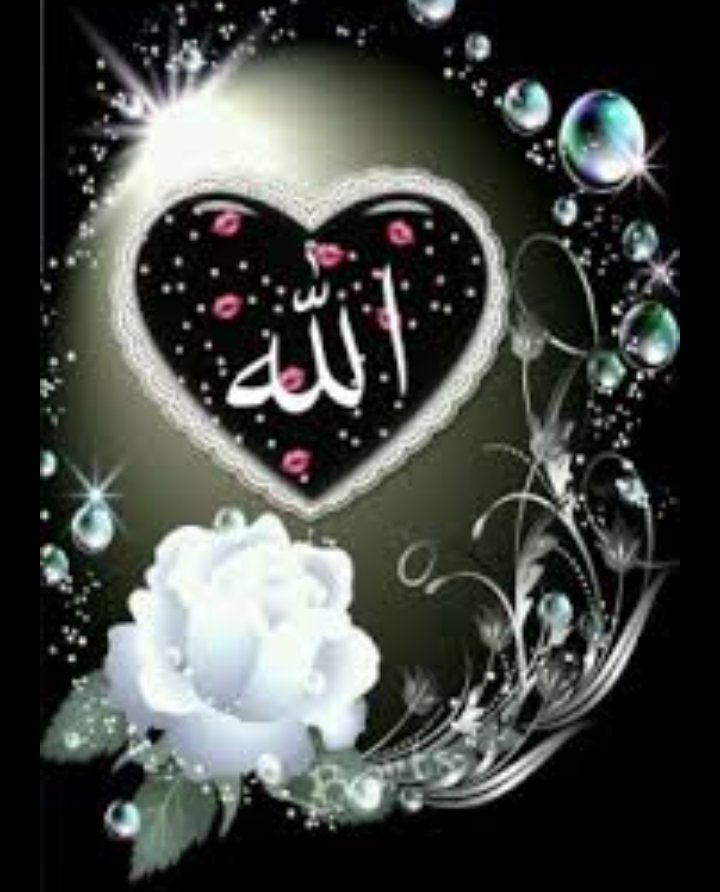 #EagleOfIslam
ہر نیک کام کے آغاز میں اللہ کا نام ضرور لیں