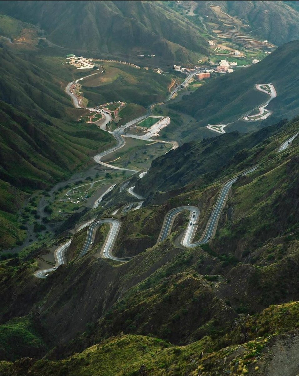 الكوتش عمار tweet media