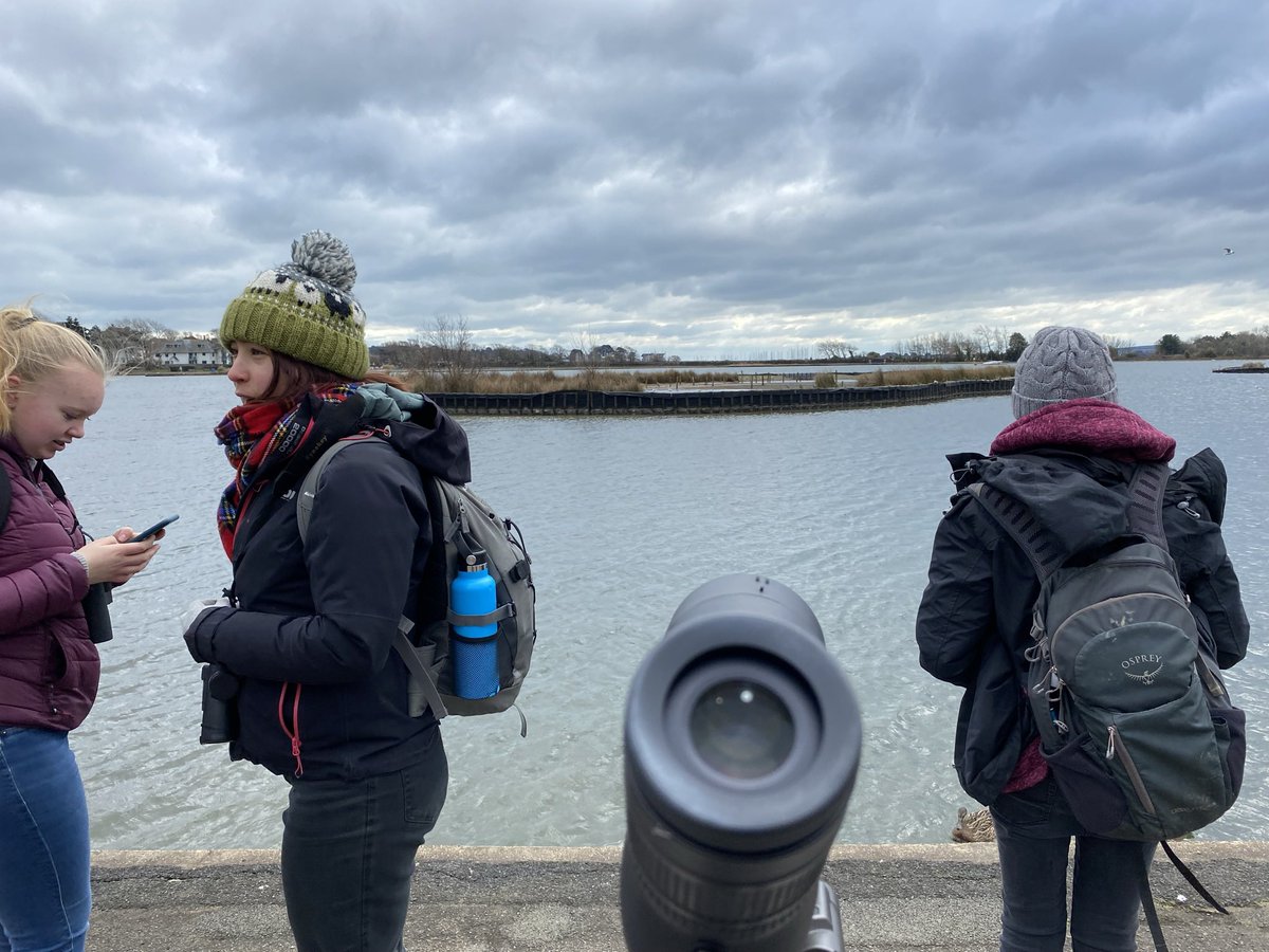 MyaBambrick1's tweet photo. A really successful @_BTO Youth walk at Poole yesterday led by myself, @HWesthenry, and @FinchleyBirder.

Great list of birds seen and nice to meet up with other young like-minded people! 

Thanks to @harbourbirds for giving us a tour around your exhibition to finish with too.😄 https://t.co/nsE9XOL4GT