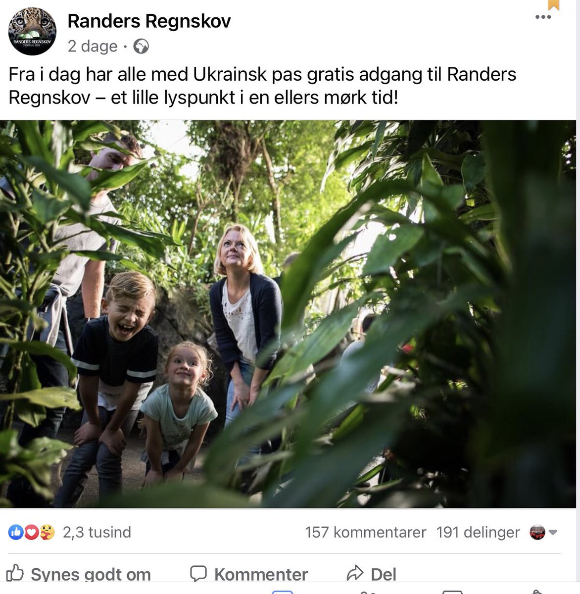 JAaroe's tweet photo. Lige om et øjeblik møder nyankomne ukrainske, congolesiske, afghanske flygtningebørn hinanden i den danske folkeskole. De ukrainske vil fortælle om den fantastiske modtagelse med fri adgang til forlystelser, de andre…….@RegnskovRanders det kan I gøre bedre! #stopdiskrimination https://t.co/3rPCC0G2Fn