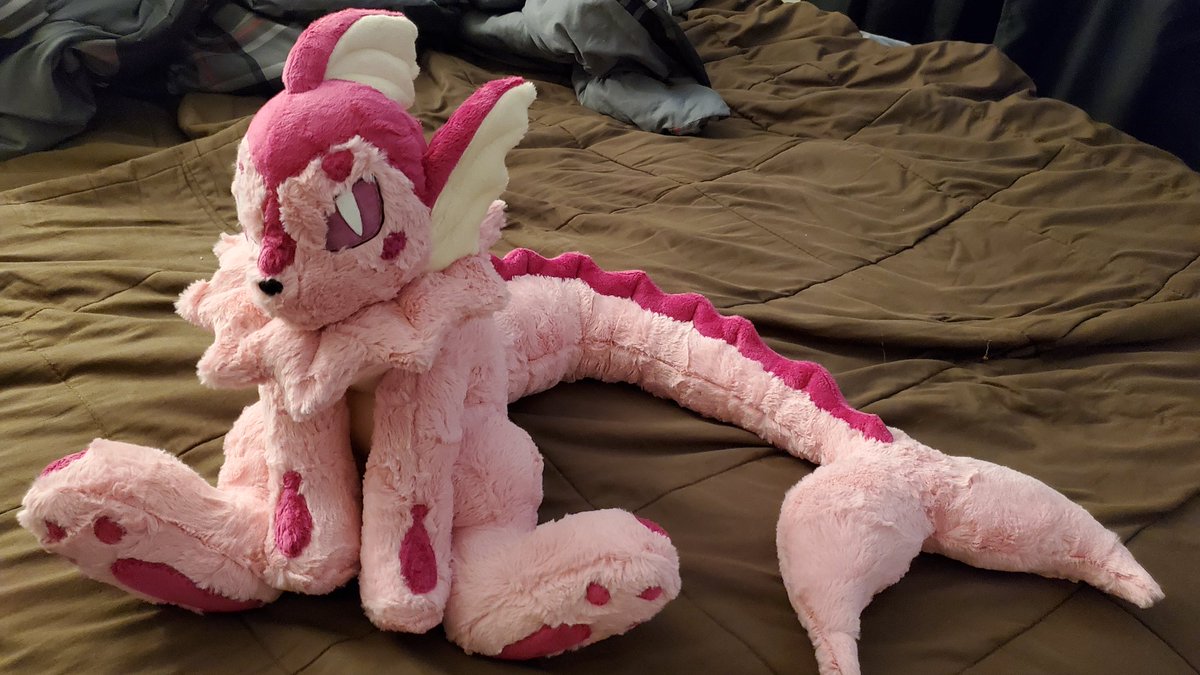 the snepard tweet media