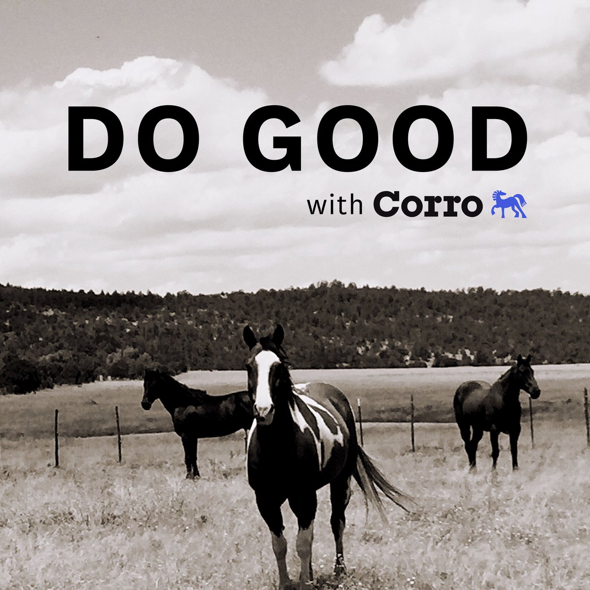 ShopCorro tweet picture