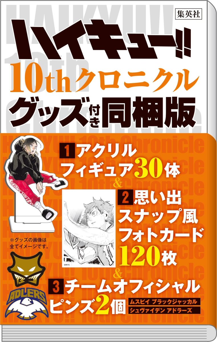 ハイキュー!!　10thクロニクル　グッズ付き同梱版　グッズのみ　アクスタ