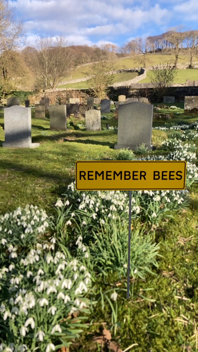 jr_carpenter's tweet photo. REMEMBER BEES โ a sign in the snowdrops, made with This is Not a Good Sign, an augmented reality poetry app using signage to articulate absences created by climate crisis https://t.co/fM78PPUVny #FlowerReport #NotAGoodSign #Langcliffe #NorthYorkshire https://t.co/wQhJg4gYHQ