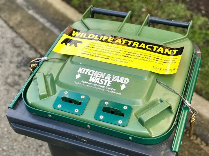CityofPoMo's tweet photo. Putting your carts out before 5:30am? You may be seeing a bear… and a bylaw officer. In the coming weeks the City will be doing late night and early morning patrols to ensure bear attractants are being managed. Visit https://t.co/4cBoDvrA9p for details and regulations. https://t.co/iBysR8I1zy