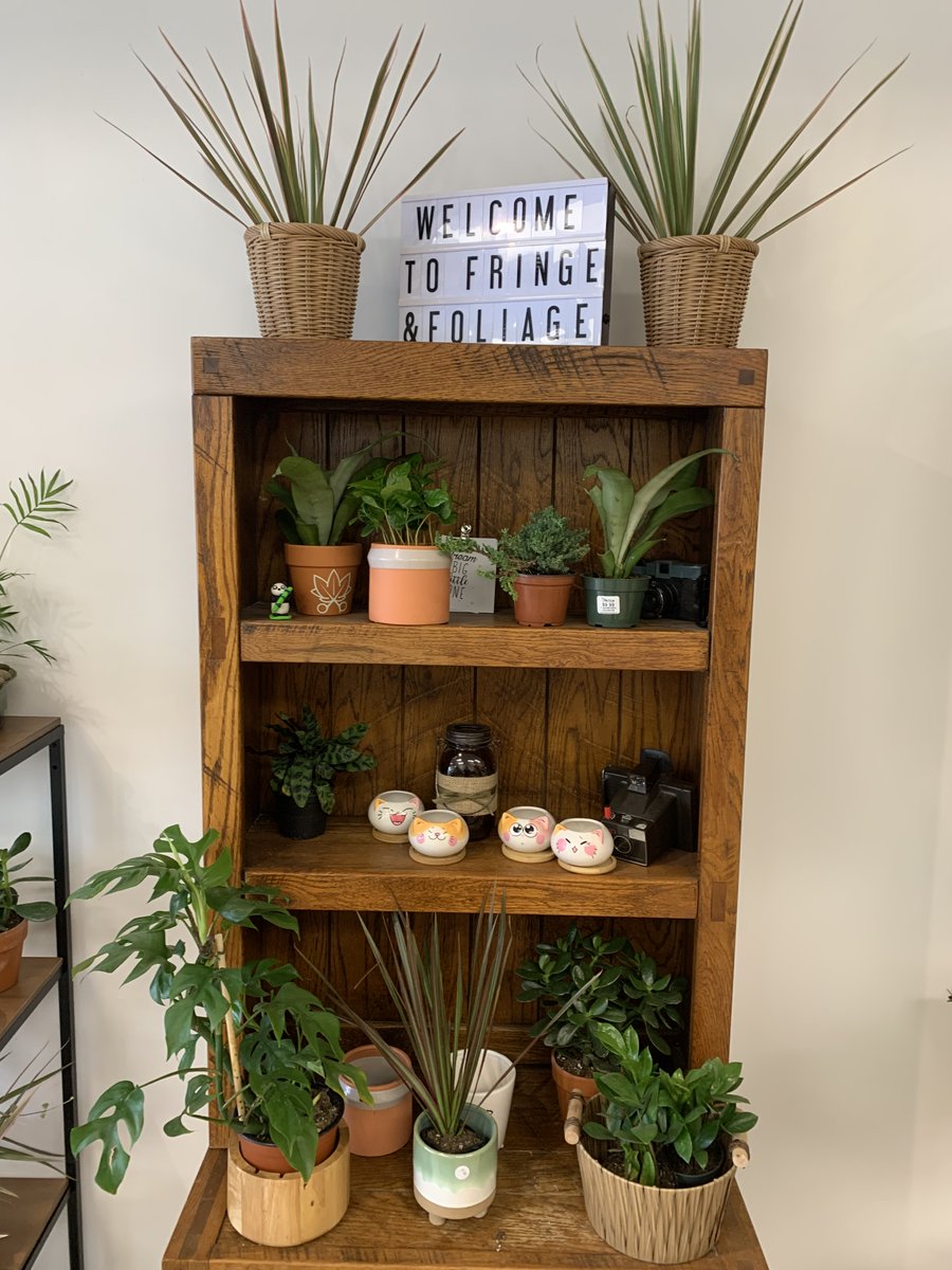 We are open!!! come get your hair cut and pick up a plant on your way out..(or 6).. 1300 carling.  see you soon! #ottawasalon #ottawaplants