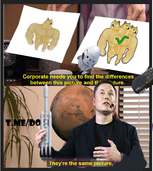 MFDananto's tweet photo. @Doge3_Cerby need your attention @elonmusk
 @cz_binance, @VitalikButerin, @pangxuekai 
#DogeCube is the first meme coin on #Radix #web3 join with our club https://t.co/KkodJolI78
 #meme #NFTGiveaway #Airdrop https://t.co/tfIGVRDYDy