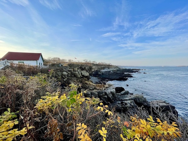 (This is super late. But people have been asking for an update, so here it is…all of it.)

It's been a while. A long while since I've written. And there are a lot of reasons for it. But mostly because I haven't known what to write about.

sandinmycurls.com/where-weve-bee…