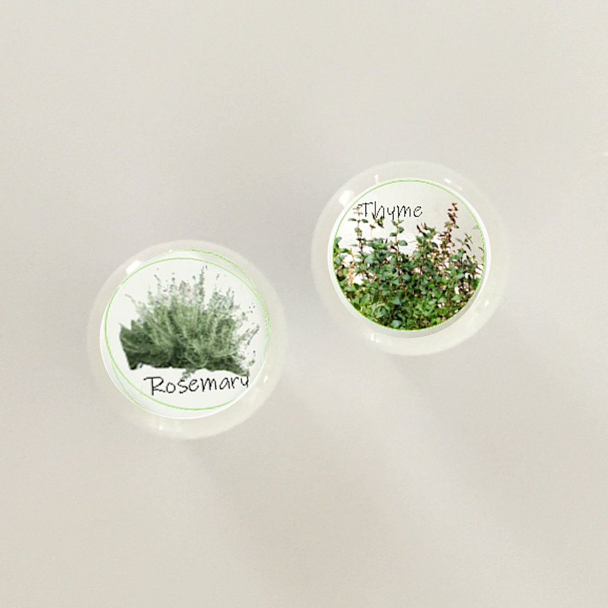 ruralgals's tweet image. 🐕 Big deals! White Ceramic Knobs, Green &amp;amp; Leafy Kitchen Herbs, Kitchen Cabinet Hardware, Cabinet Knobs, Sets of 4 or 6, 2 Knob Sizes, Kitchen Decor only at $20.74 on etsy.com/listing/107539… Hurry. #knobs #DecorativeKnobs