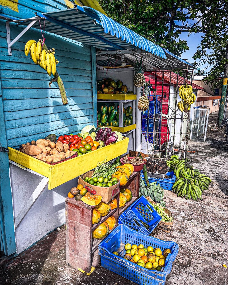 Nerysramirez01's tweet photo. Aquí nos paramos a buscar aguacates… 
📍Carretera a Río San Juan https://t.co/Yodc7iBozv
