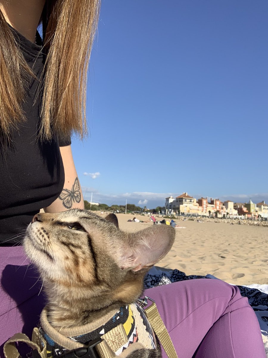 💖🦋🐱