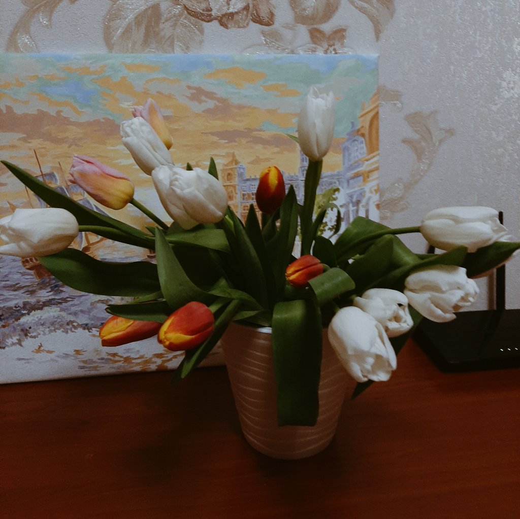 _Raskolnikoww_'s tweet photo. так как никто мне цветов не подарит на 8 марта я их купила сама 

надо себя баловать я у себя одна
(◍•ᴗ•◍)❤ https://t.co/xlzKGM2ADT