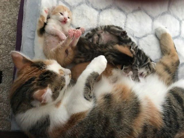 VincentRedStick's tweet image. harry.loveme.run
please share it and Folow ME! Watch also our other videos!