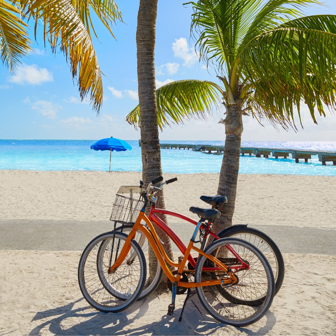 PartyInKeyWest's tweet photo. Can you paint with all the colors of the island? #keywest #disneyreference #colorsofkeywest
More: https://t.co/QtRb8xssq5
Follow us: @PartyInKeyWest
Hashtag us: #PartyInKeyWest #PKW #KeyWestParty https://t.co/jbllLlPlne