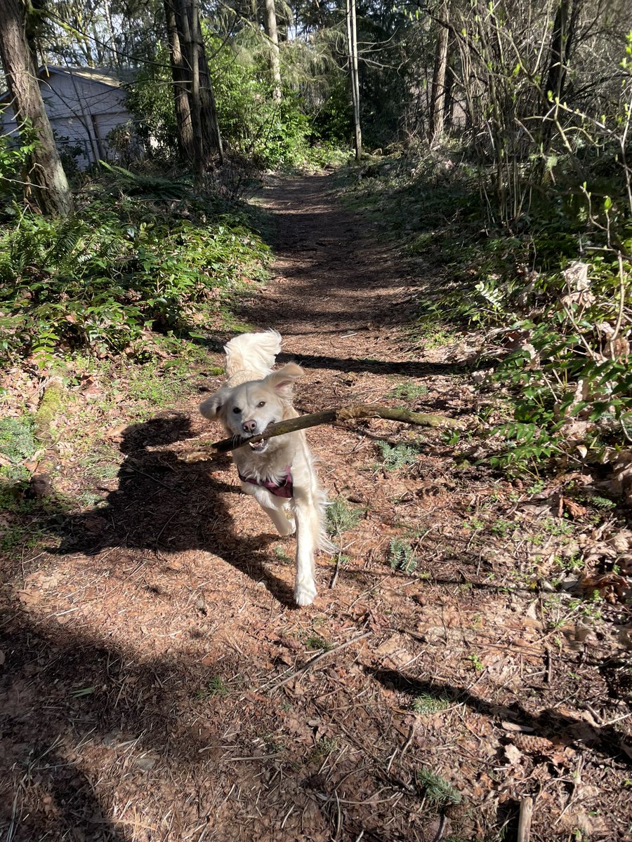 AbovesLove tweet media