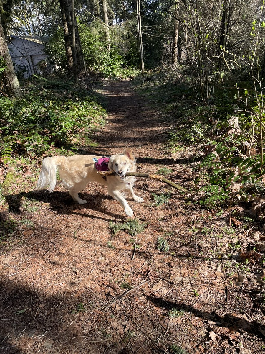 AbovesLove tweet media