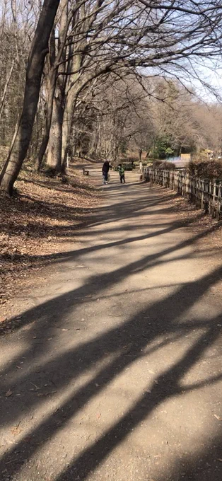 公園の帰り道、遊び疲れて座り込んでたようちゃんに、通りかかったおじいちゃんが、医者に甘いもの止められてるけどつい買っちゃった金のミルクと人形焼をくれた。去っていくおじいちゃんの袋は空っぽだった。こちらが持ってたビスコをお返しに渡そうと追いかけたら車で行ってしまった。ありがとう。 