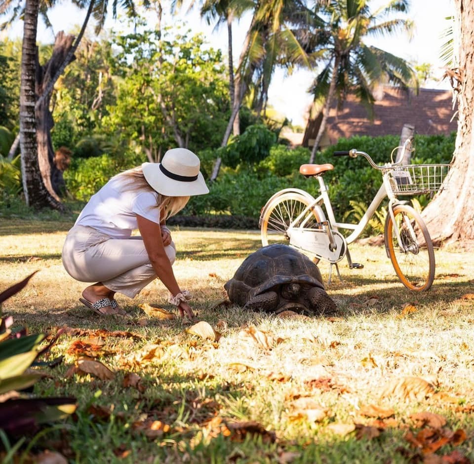 TselanaTravel's tweet photo. SEYCHELLES, UNE PARENTHÈSE ENCHANTÉE AU CŒUR D'UN PARADIS INSULAIRE 🏝️
Quintessence du cliché paradisiaque, l'archipel réunit tout ce que l'océan Indien compte de merveilles naturelles : sable fin, mer turquoise et tortues géantes.
#Seychelles #IslandEscape #ParadiseIsland https://t.co/puthT8vwF2