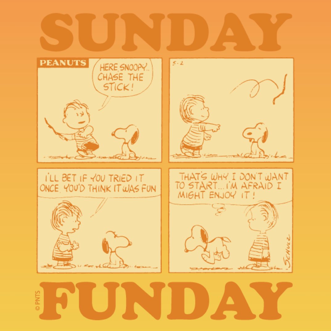 Peanuts_4Fans's tweet image. What&apos;s something fun you can try today?