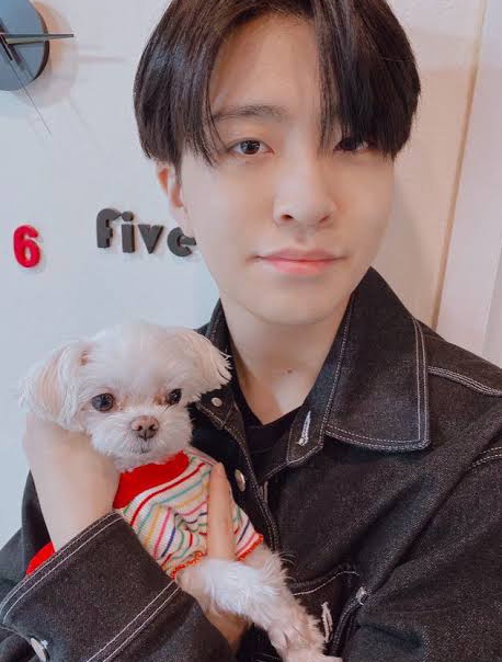 Balloonn83's tweet photo. จะเเข่งอะไรก็แข่งได้...
เเต่เเข่งวาสนากันไม่ได้หรอกนะ 🤭😚🤣🔥
#cocogot7 #Youngjae #GOT7FOREVER https://t.co/cSi3jC5HFd