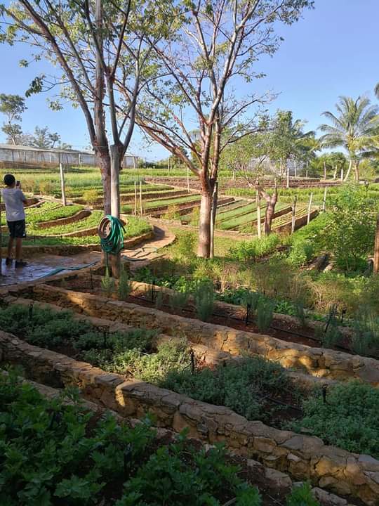 Un excelente domingo en finca Martha, hermoso regalo para las mujeres por el 8 de Marzo. Un día donde los saberes se funden, donde la agroecología triunfa. #CubaViveYAvanza #SomosArtemisa #PonleCorazón