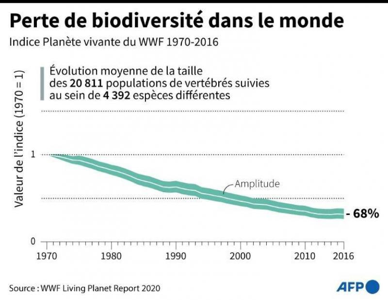 bravoducentore's tweet photo. @loliviercamas @AldoSterone111 @El_Dic_TatoR @ClaireMLejeune @JLMelenchon Whaou le niveau !!! Continuez de niiez mais la réalité s’imposera à vous de grès ou de force. https://t.co/lcK5ZwlaZW