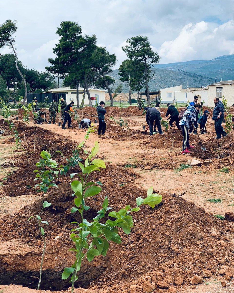 Μια ιδιαίτερη συνεργασία αυτό το Σαββατοκύριακο είχε σαν αποτέλεσμα την φύτευση 400 από τα περίπου 2500 δέντρα που θα φυτευτούν συνολικά στον Άγιο Ανδρέα, στις στρατιωτικές εγκαταστάσεις, με την βοήθεια φαντάρων και εθελοντών. 🌱

Ευχαριστουμε πολύ!